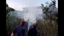 Report TV - Zjarr i qëllimshëm në Fushë-Krujë, përfshihet nga flakët sipërfaqja ne pemë frutore