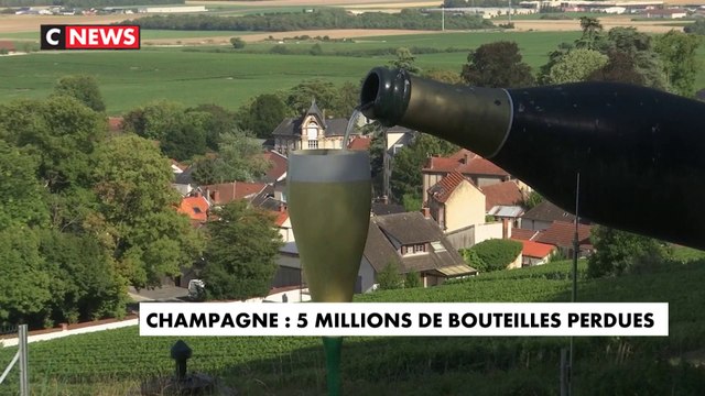 Champagne : des millions de bouteilles perdues