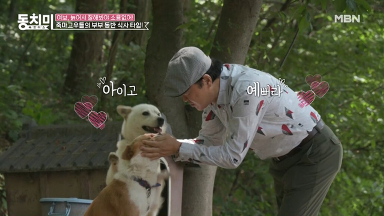 강아지 홀릭 남편에 분노 폭발한 전성애 “와서 좀 도와!”