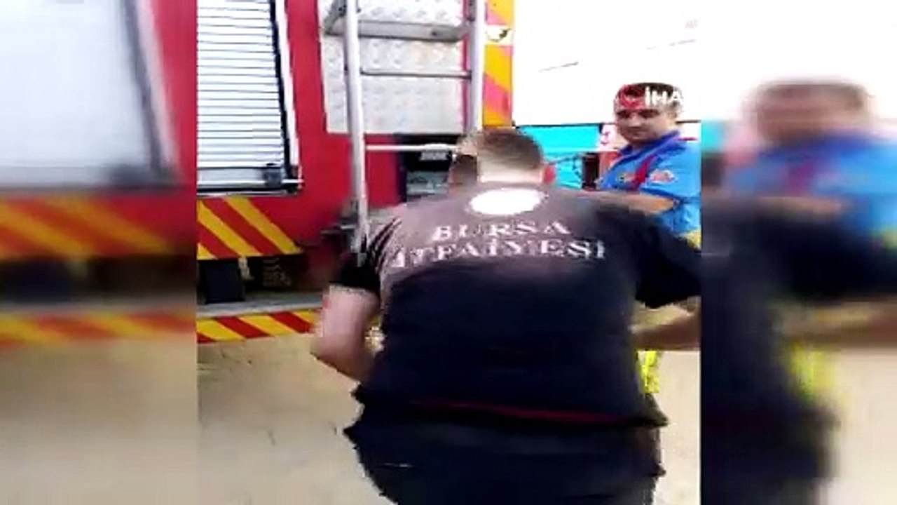Çatıya sıkışan ebabil kuşunu itfaiye kurtardı