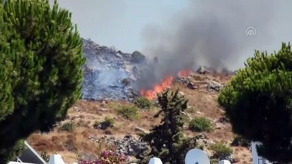 Bodrum'da makilik alanda yangın - MUĞLA