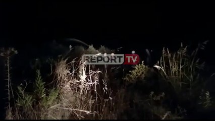 Report TV -Zjarr i qëllimshëm në parcelën e mbjellë me ullinj, rrezikohet kisha e Thumanës