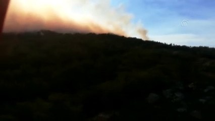 Çamlık alanda çıkan orman yangını - MUĞLA