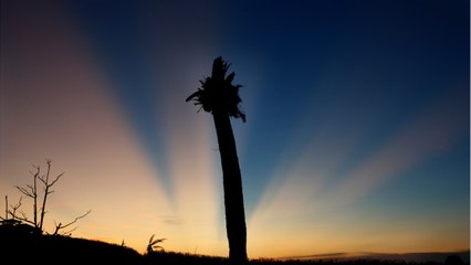 Bahamas, Florida Brace For Hurricane Isaias