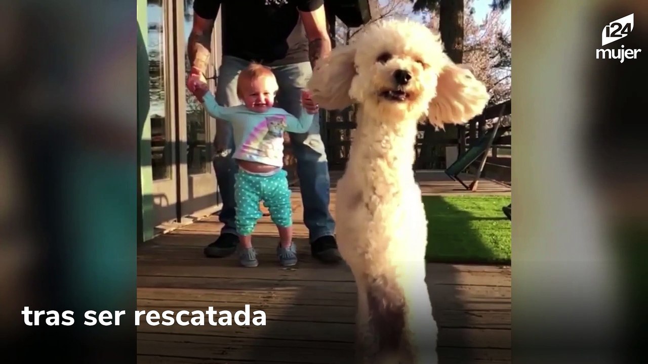 Adorable perrita de dos patas salta de felicidad tras ser rescatada