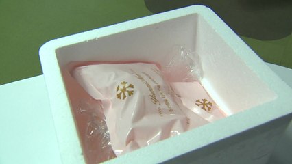 '골칫거리' 아이스팩에 폐기물부담금..."사용 줄여야" / YTN