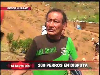 Huaraz: dos hermanos se disputan con las autoridades la tenencia de 200 perros
