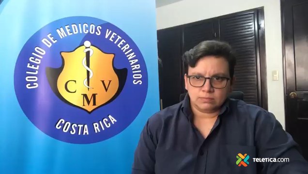 tn7-Silvia Coto, presidenta del Colegio de Médicos Veterinarios-010820