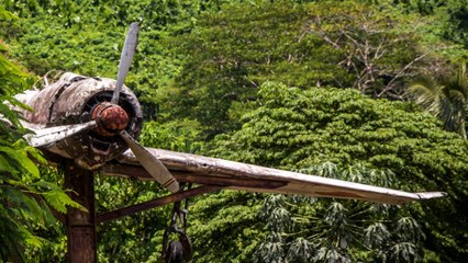 Coke-Filled Aircraft Crashes, Reveals Links To Mob