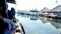 EXOTIQUES DE L'ÎLE GILI KETAPANG, INDONÉSIE, PARTIE 1: VOYAGE SUR L'ÎLE,