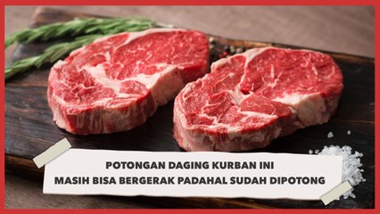 Video Potongan Daging Kurban Ini Masih Bisa Bergerak Padahal Sudah Dipotong
