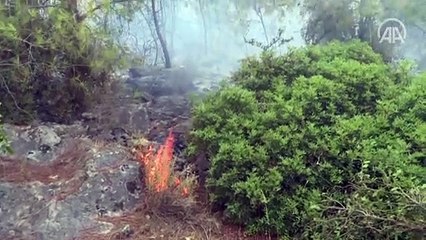 Suriyeli Hasan el-Hasan, İzmir'deki yangını söndürmek için avuçlarıyla toprak taşıdı - İZMİR