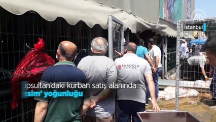 Eyüpsultan'daki kurban satış alanında 'kesim' yoğunluğu