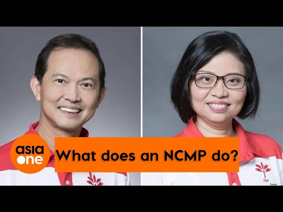 TLDR: What does an NCMP do?