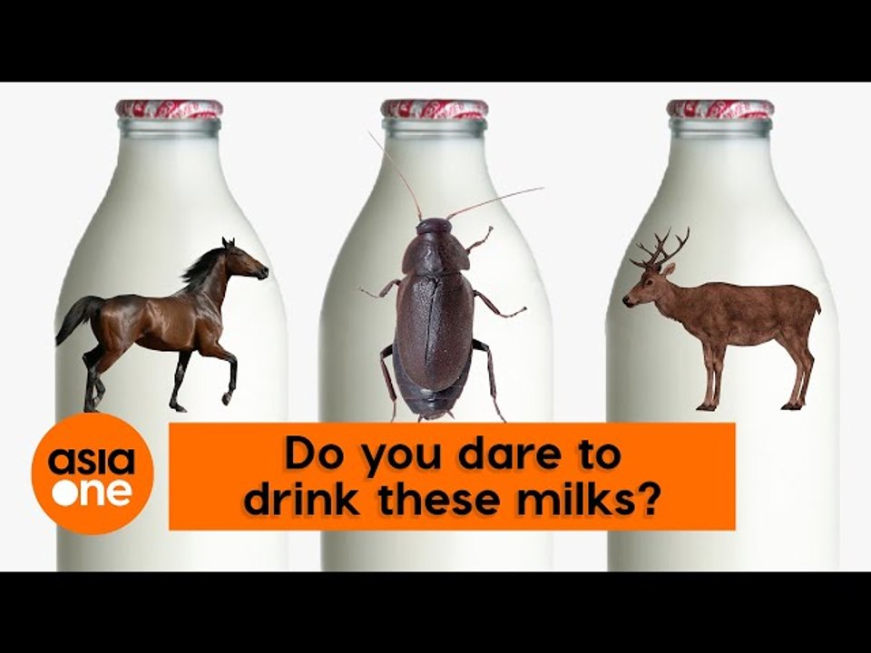 TLDR: Are these alternative animal milks better than cow's milk?