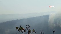 Manisa’daki orman yangını kısmen kontrol altında
