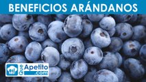 8 propiedades y beneficios de los arándanos |QueApetito