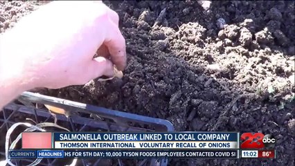 Salmonella outbreak linked to Bakersfield company  Thomson International, Inc.