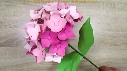 Origami facile : Fleur  d'Hortensia (Hydrangea) avec  feuilles et tige