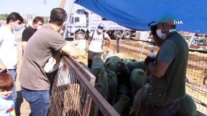 Kurban çadırları bir yandan toplanırken bir yandan pazarlıklar sürüyor