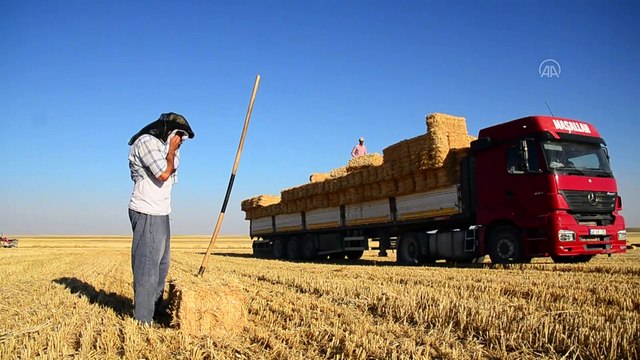 Konya Ovası'nda balya işçilerinin zorlu ekmek (2) - KONYA