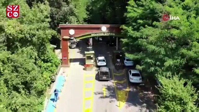 İstanbul’da kalan vatandaşlar Belgrad Ormanı’na akın etti