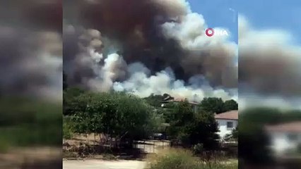 İzmir'de bir orman yangını daha çıktı