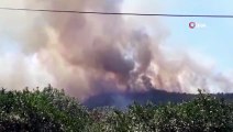Menderes'teki orman yangını devam ediyor