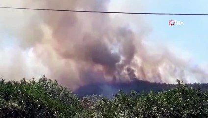 Menderes'teki orman yangını devam ediyor