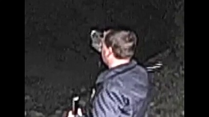 Flying Monsters Caught On Tape!