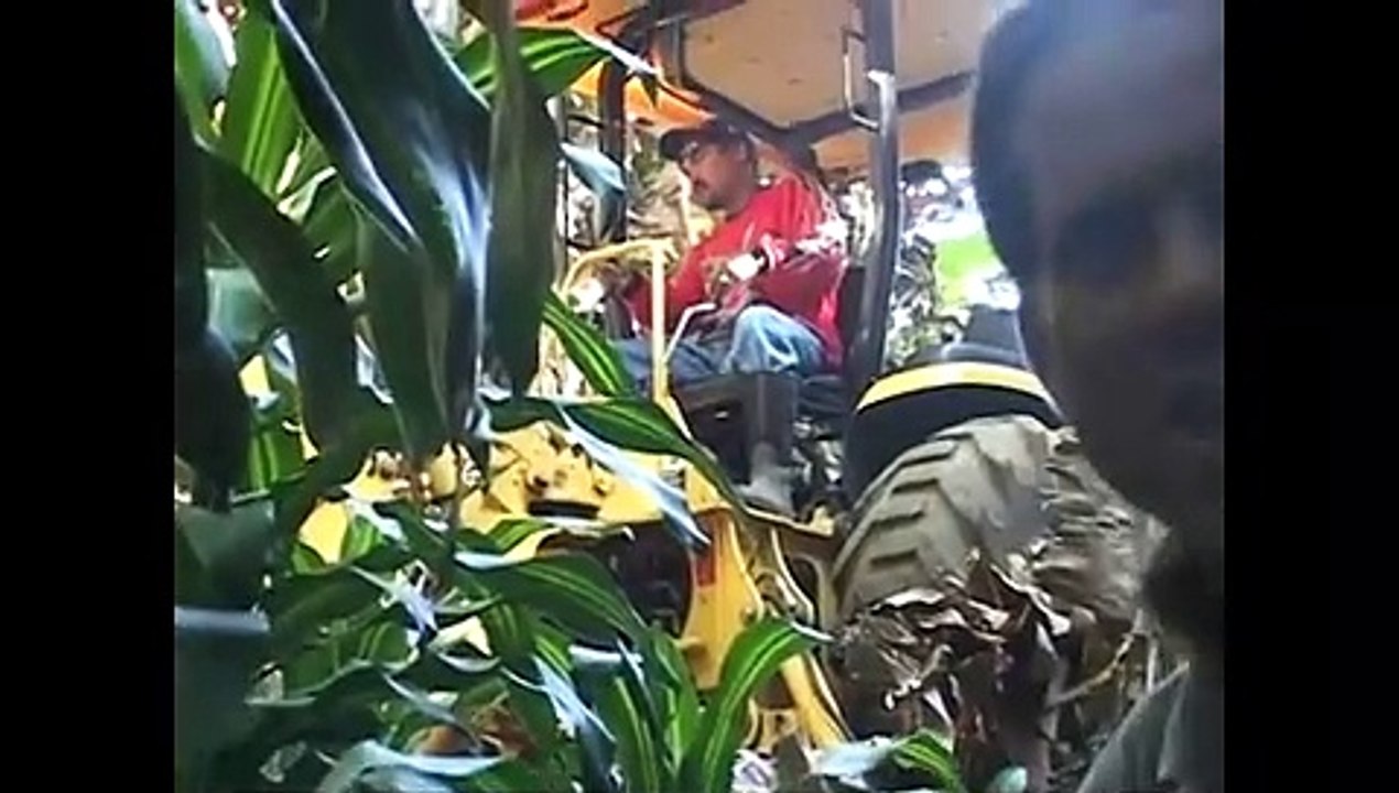 Bottle Hunters Of Hawaii #16 Race To The Past Looking For Glass!