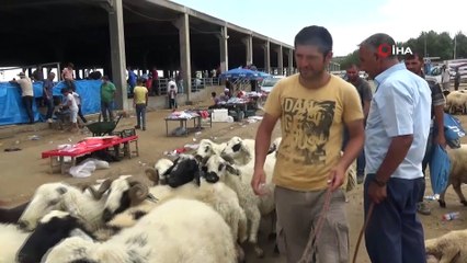 Diyarbakır'da kurbanlık fiyatları bayramın 3'üncü gününde düştü
