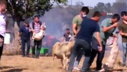 Bursa’daki çiftlik yangını Adalet Ormanı’na sıçradı