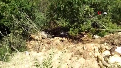 Kurban atıkları yol kenarlarına döküldü