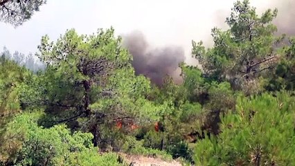 Banaz'daki orman yangınlarına müdahale ediliyor (2) - UŞAK