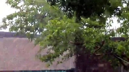 पिछले 24 घंटों में 6.6 मि.मी. औसत वर्षा