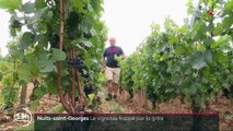 Nuits-Saint-Georges : Le vignoble frappé par la grêle