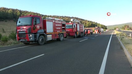 Uşak'ta 2 farklı noktadaki orman yangınlarından biri kontrol altına alındı