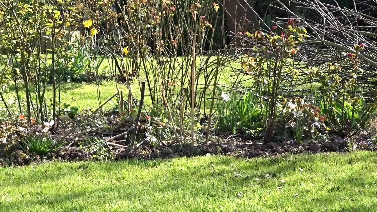 A vol d'oiseaux