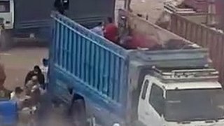 Des dizaines de personnes attaquent un camion pour voler des moutons (Vidéo)