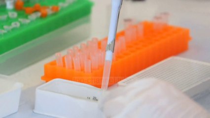 Top News - Covid-19 dhe virozat/ Çfarë do të ndodhë në vjeshtë!