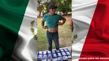 PURO HUMOR MEXICANO Y VIRALES EN TIKTOK (2)