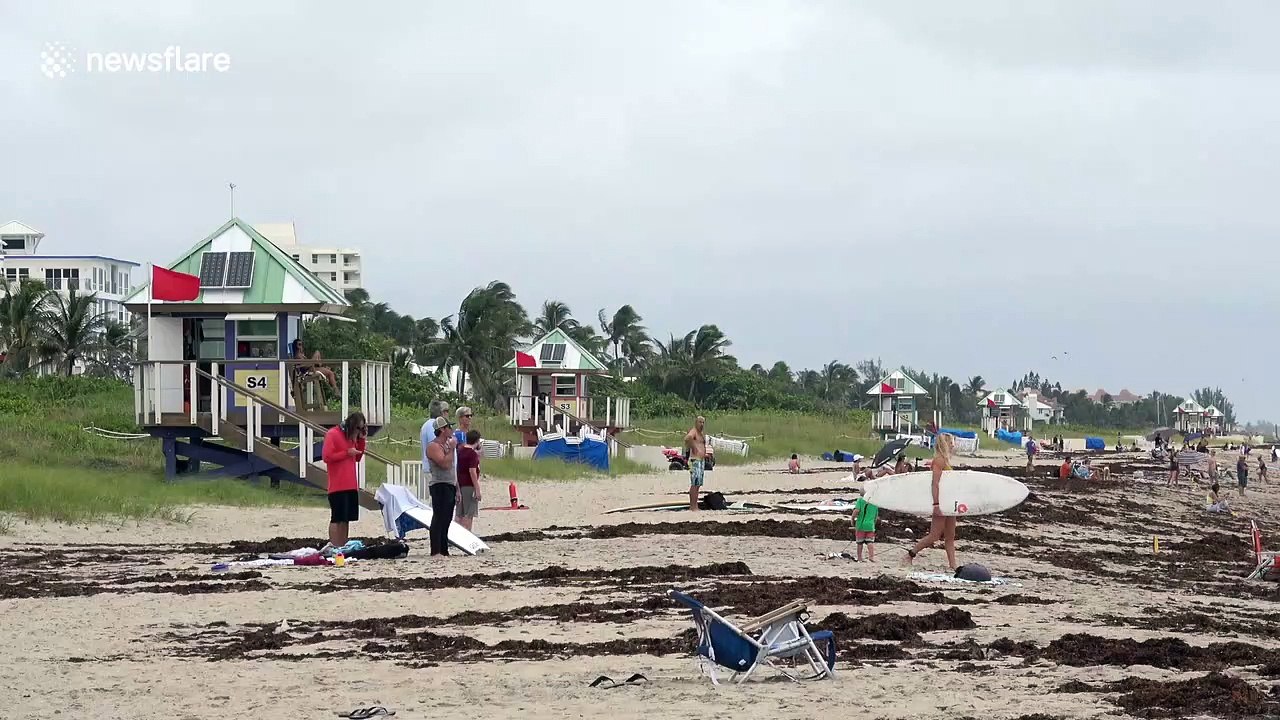 Dozens of South Florida surfers ride Tropical Storm Isaias waves