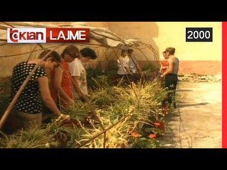 Lulet e Burgut 313 (9 Gusht 2000)