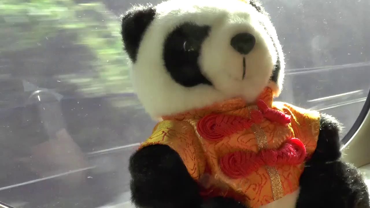 le japon en train avec la soeur de kun fu panda