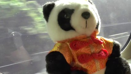 le japon en train avec la soeur de kun fu panda