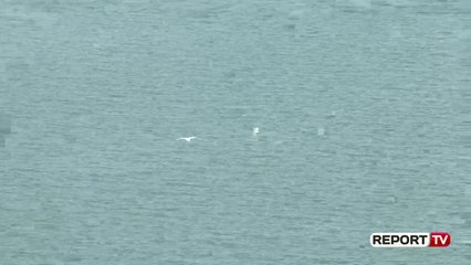 Thahet Fierza,bie rezerva energjetike në kaskadë, KESH:Niveli i ujit në liqenin  në kuotën 287 metra