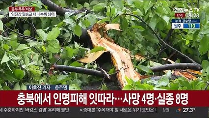 충북·강원 잇따라 비피해…철도 일부 운행 재개