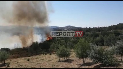 Télécharger la video: Report TV - Zjarri përfshin ullishten në Patos, digjen 300 rrënjë, vatrat rrezikojnë banesat