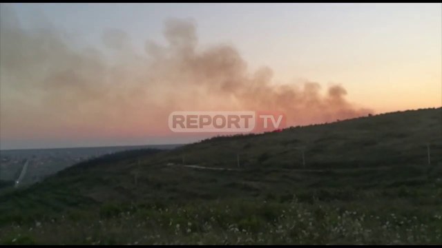 Zjarr në kodrat e Divjakës, digjen 4 hektarë ullishte e 6 hektarë bimësi e egër